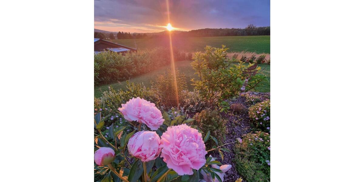 Einfamilienhaus Buchholz - 5 Zimmer, 157 m&sup2;, 2.050&euro; | Angebot:26197205