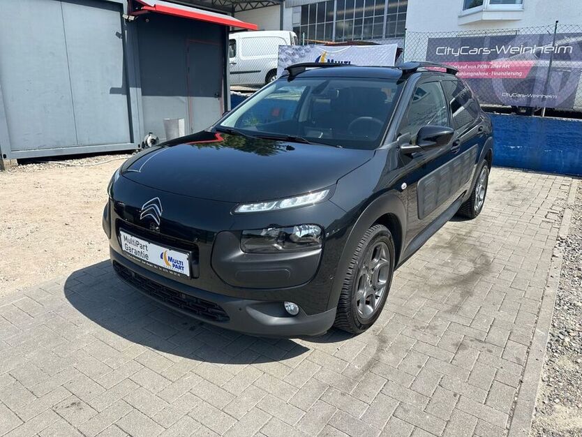 C4 Cactus