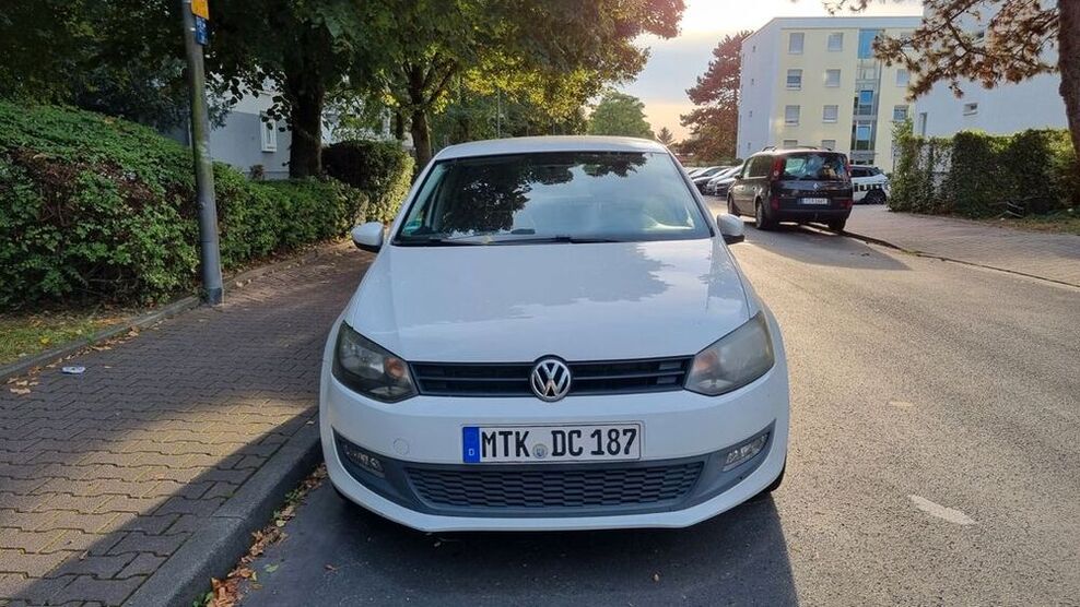 Polo