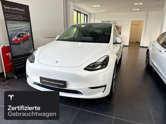 Model Y