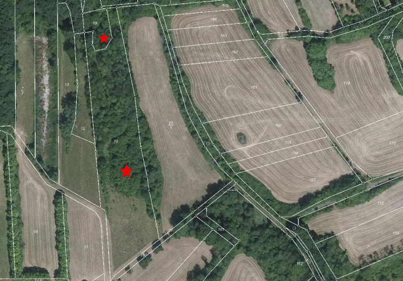 Grundstück Meinhard Eschwege - 10.000&euro; | Angebot:25741881