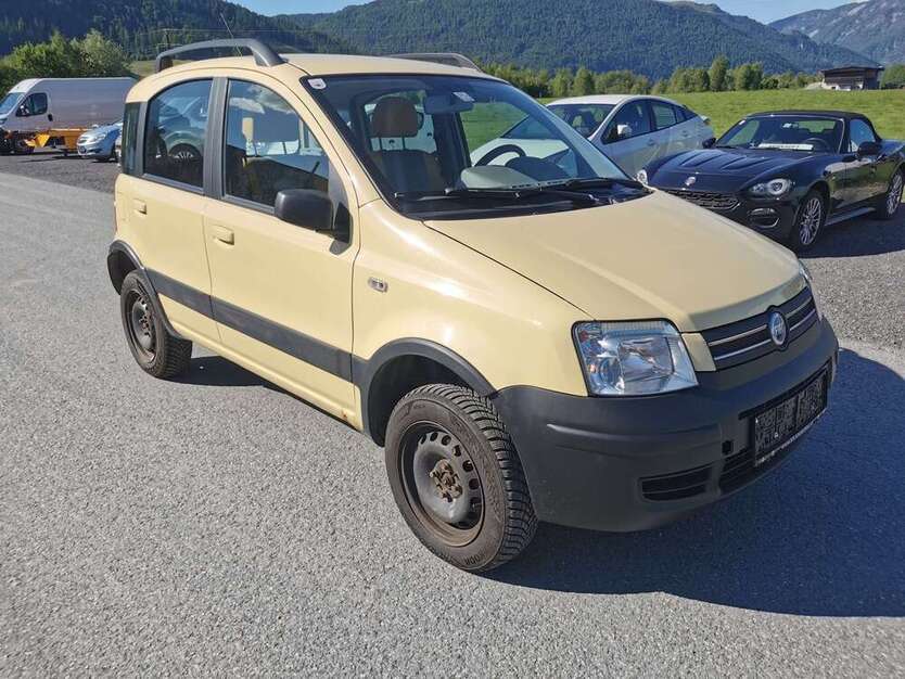 Panda