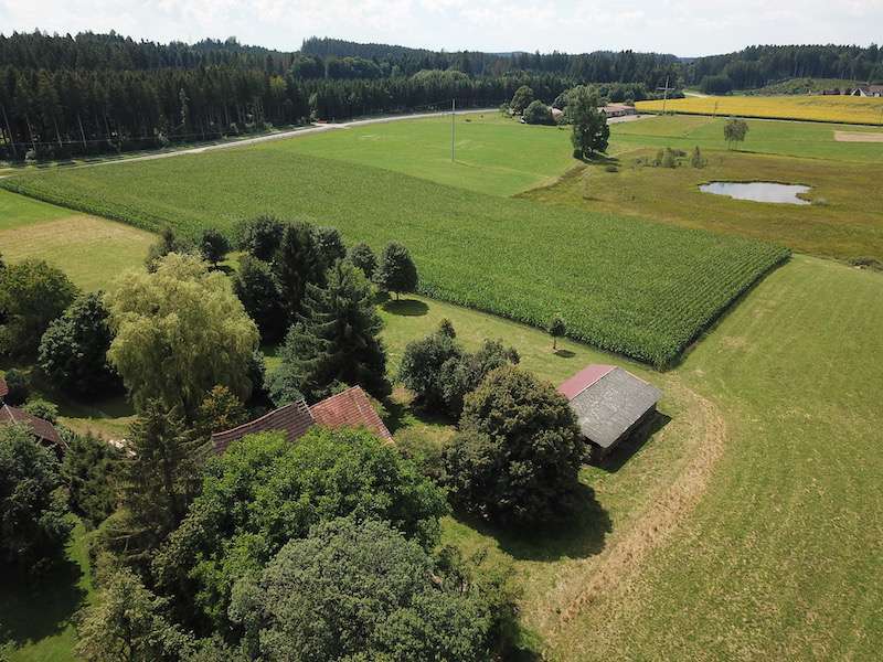 Haus zum Kaufen in Waldburg 560.000 € 90 m²