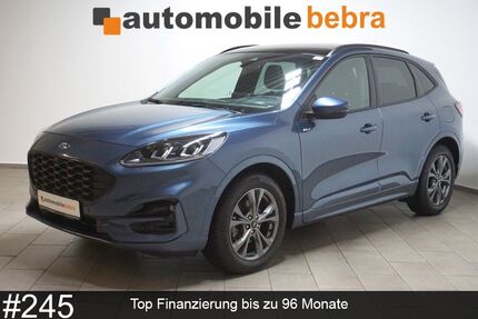 Ford Kuga 16.681 km 20.490 &euro; Bebra 36179
