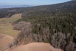 Attraktive Mischwaldgrundstücke mit viel Potenzial - Grundstück Chamerau / Bärndorf Bärndorf | Angebot:26531488