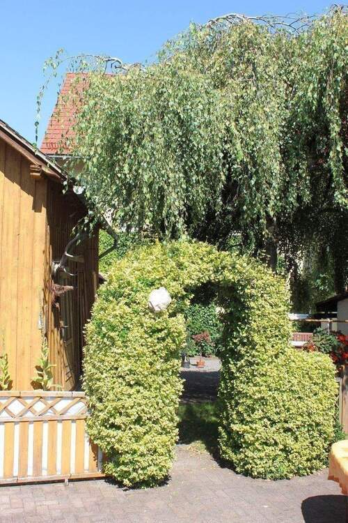 Großes EFH (oder Mehrfamilienhaus) in einem Ortsteil von Dipps!