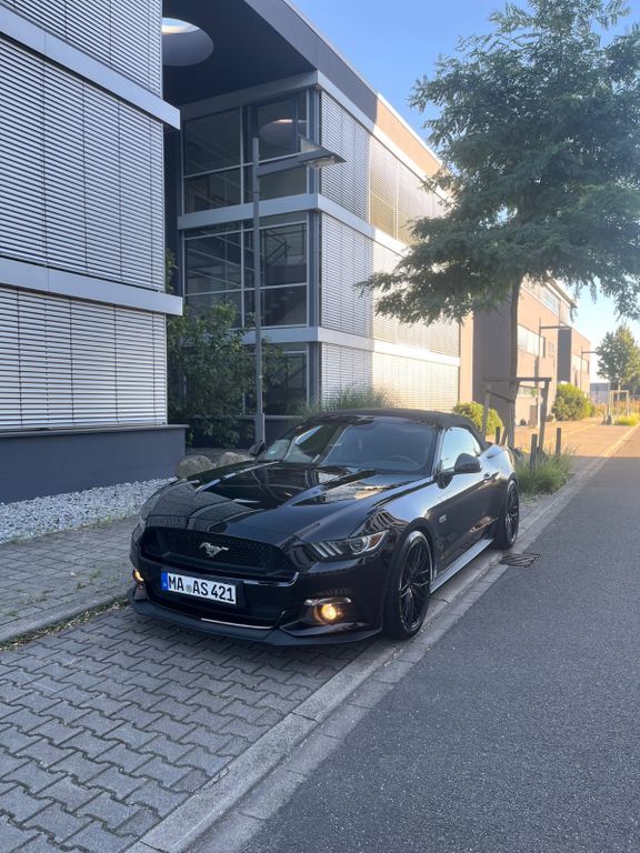 Mustang