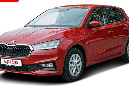 Skoda Fabia 8.921 km 20.890 &euro; Brehna 06796