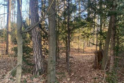 Schönes Baugrundstück in Moritzburg im OT Friedewald zimmer
