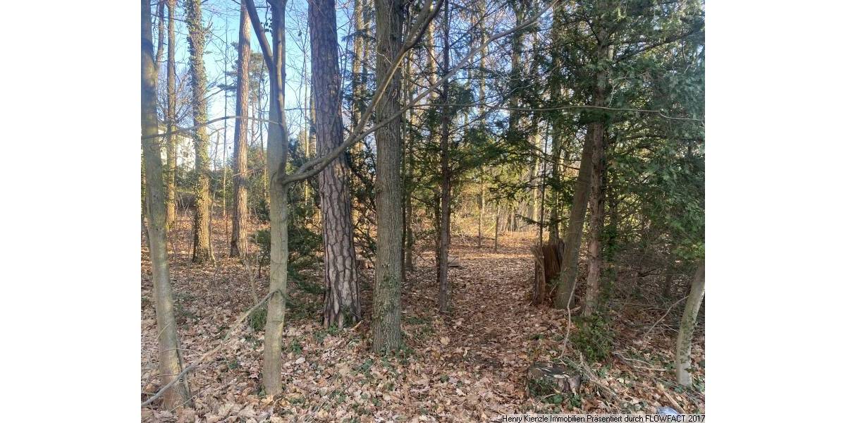 Schönes Baugrundstück in Moritzburg im OT Friedewald zimmer