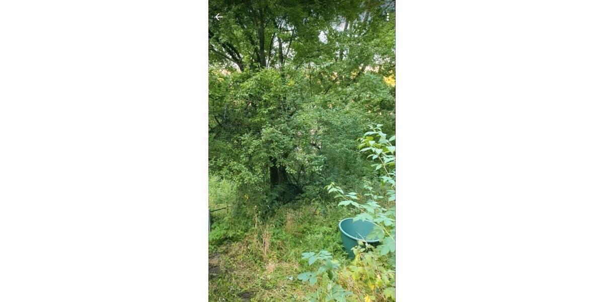 Grundstück Stadtroda - 10.000&euro; | Angebot:26089427