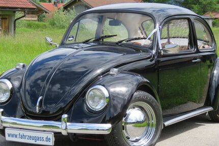VW Käfer 18.134 km 24.999 &euro; Oberau 82496