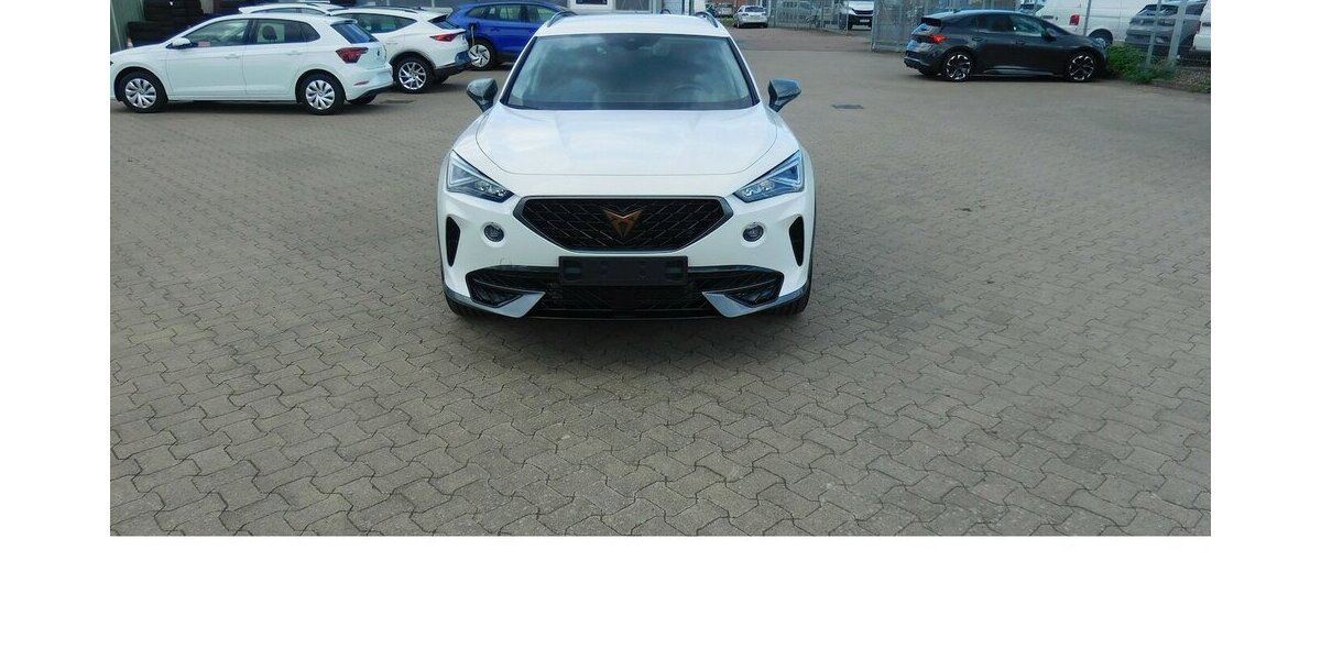 Cupra Formentor 1.5 TSI BMT Klima LED Alu Navi 15.600 km 21.490 &euro; Vordorf 38533