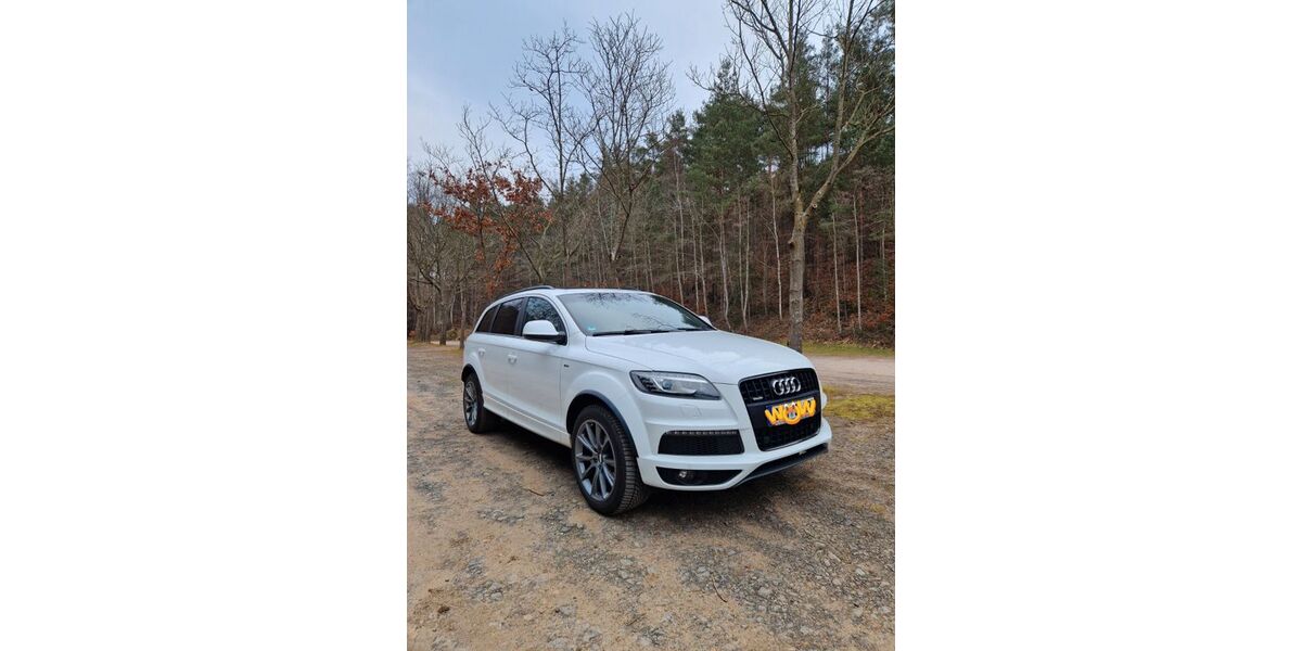 Audi Q7 170.000 km 18.500 &euro; Lambrecht 67466