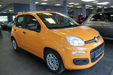 Fiat Panda 39.589 km 8.980 &euro; Euskirchen 53881