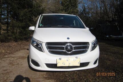 Mercedes V 250