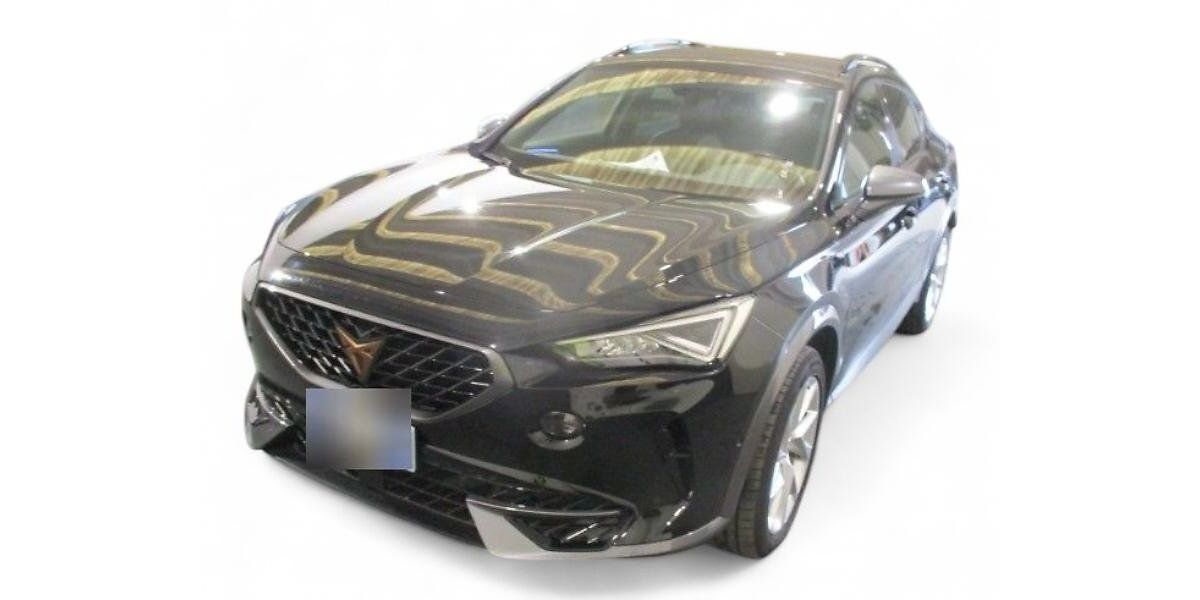 Cupra Formentor 59.716 km 23.449 &euro; Ergolding 84030