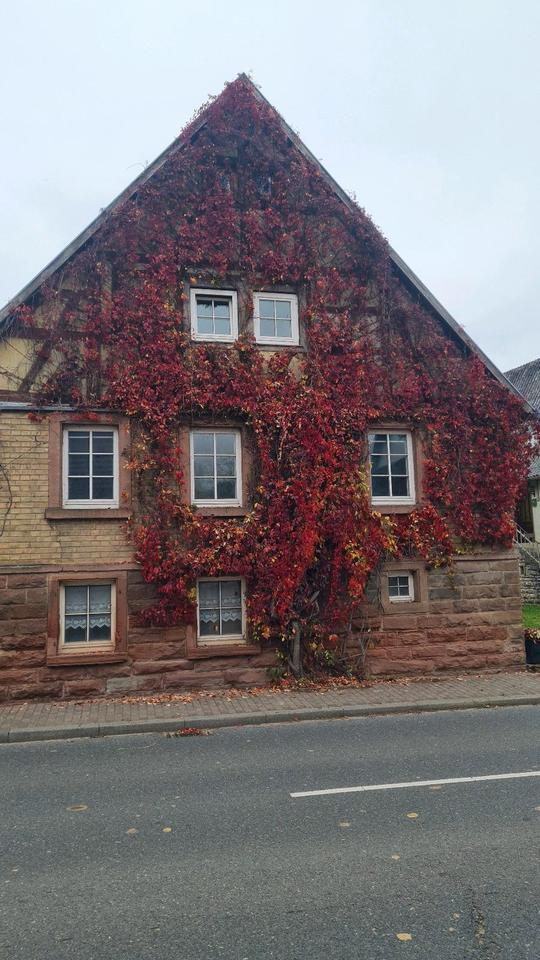 ALT Bau saniert zimmer