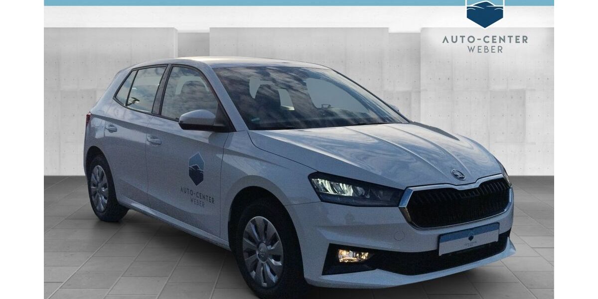 Skoda Fabia 9.954 km 18.310 &euro; Leipzig/Lindenthal 04158