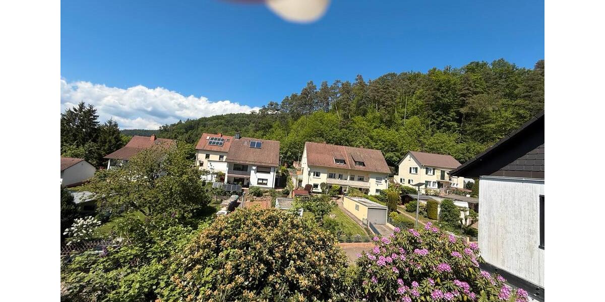 Einfamilienhaus Annweiler am Trifels - 8 Zimmer, 220 m&sup2;, 389.000&euro; | Angebot:26592635
