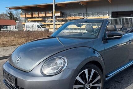 VW Beetle 22.000 km 20.900 &euro; Bad Fallingbostel (OT Dorfmark) 29683