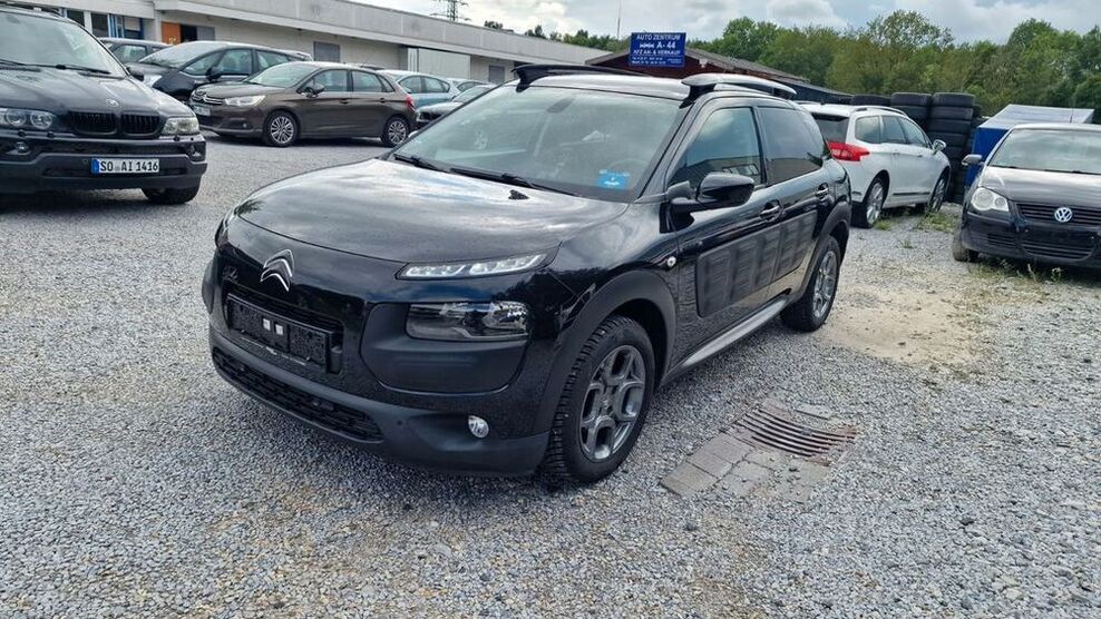 C4 Cactus