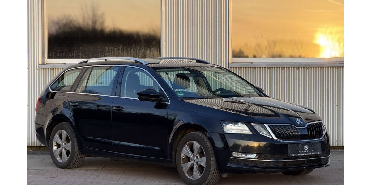 Skoda Octavia 169.000 km 7.990 &euro; Flensburg 24941