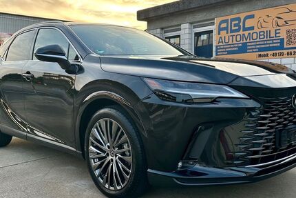 Lexus RX 450 19.999 km 72.990 &euro; Kaiserslautern-Einsiedlerhof 67661