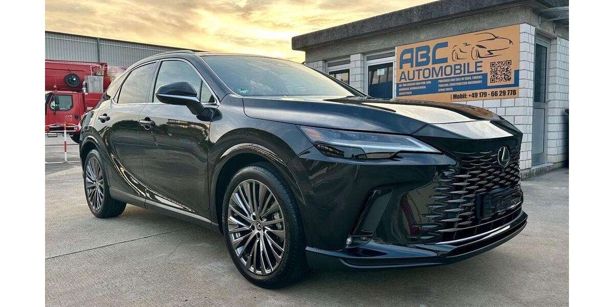 Lexus RX 450 19.999 km 72.990 &euro; Kaiserslautern-Einsiedlerhof 67661