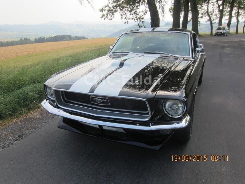 Mustang