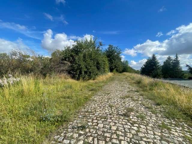 Grundstück Wethau - 55.000&euro; | Angebot:27206027