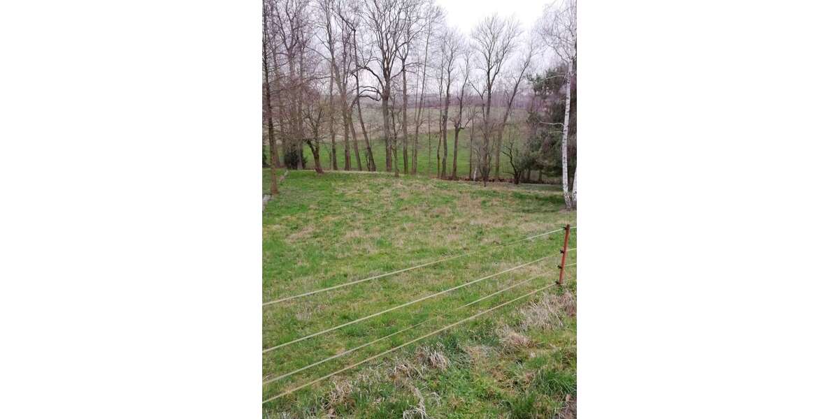 Grundstück Mügeln Neubaderitz - 58.000&euro; | Angebot:19090041