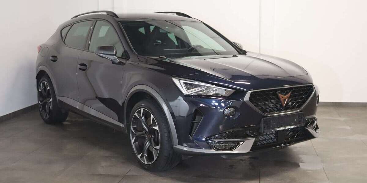 Cupra Formentor 69.500 km 23.700 &euro; Bebra 36179