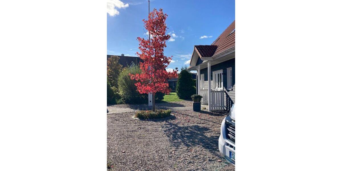 Einfamilienhaus Kropp - 5 Zimmer, 140 m&sup2;, 405.000&euro; | Angebot:26481359