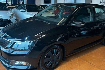 Skoda Fabia 169.344 km 6.790 € Bad Dürkheim 67098