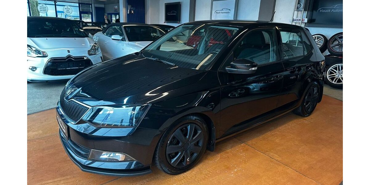 Skoda Fabia 169.344 km 6.790 € Bad Dürkheim 67098