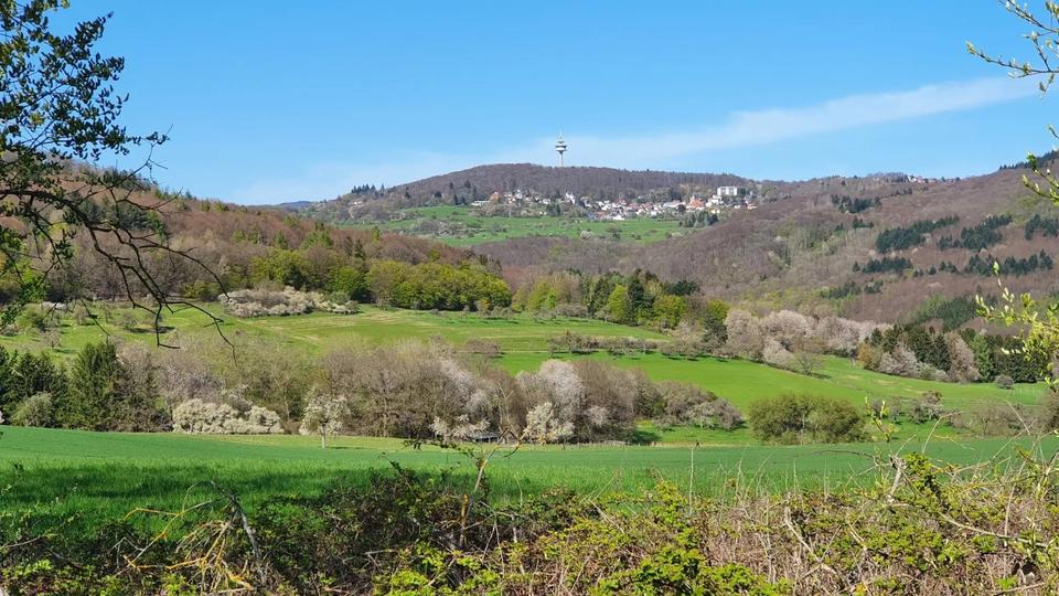 Erdgeschoßwohnung Niedernhausen - 2 Zimmer, 82 m&sup2;, 242.000&euro; | Angebot:24626400