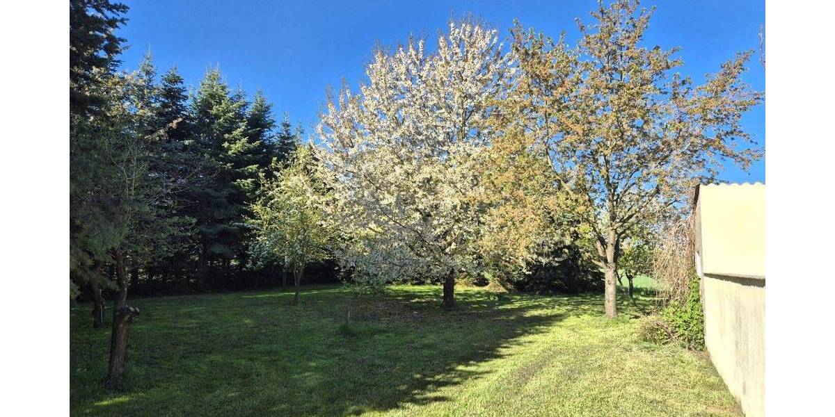 Einfamilienhaus Letschin Gieshof-Zelliner Loose - 4 Zimmer, 95 m&sup2;, 77.000&euro; | Angebot:26486001