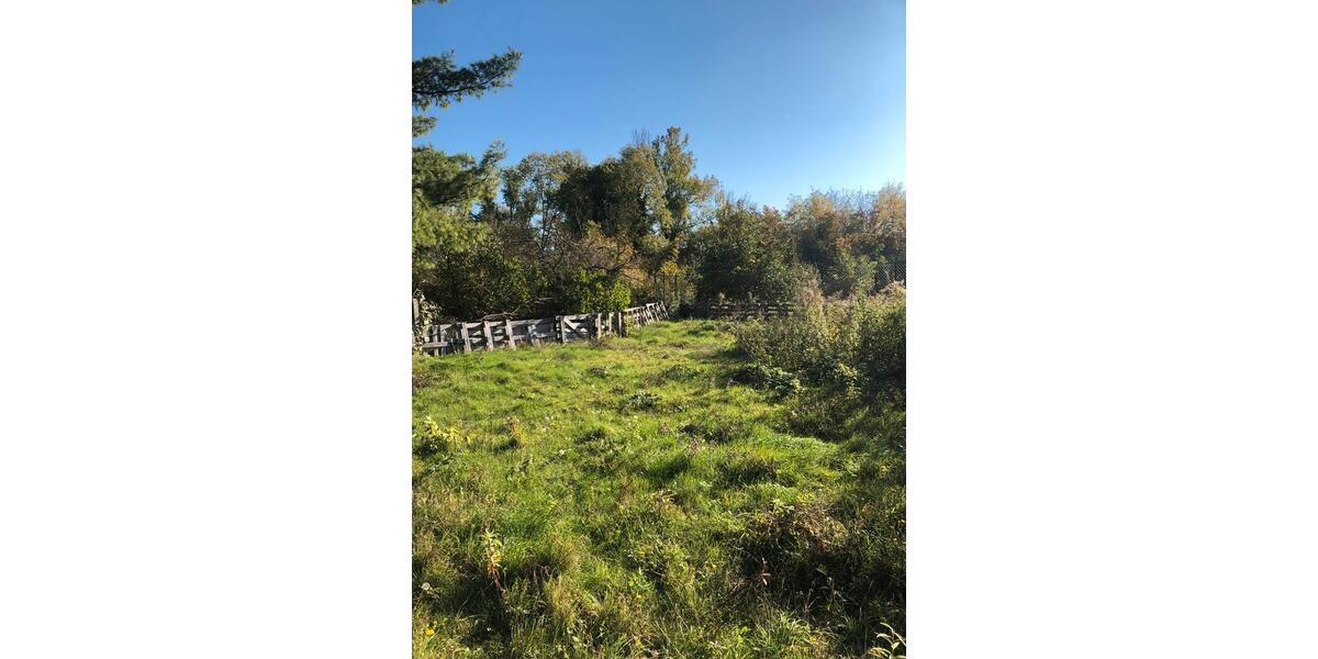 2RWHG 60qm 06317 Röblingen am See,mit Garten Tierhaltung erlaubt 2 zimmer