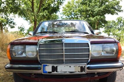 Mercedes-Benz 230 149.000 km 7.000 &euro; Briesen (Mark) 15518