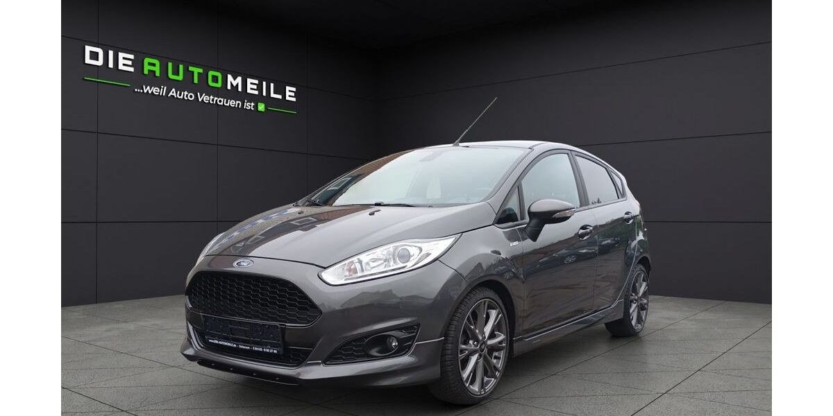 Ford Fiesta 102.000 km 7.980 &euro; Uetersen 25436