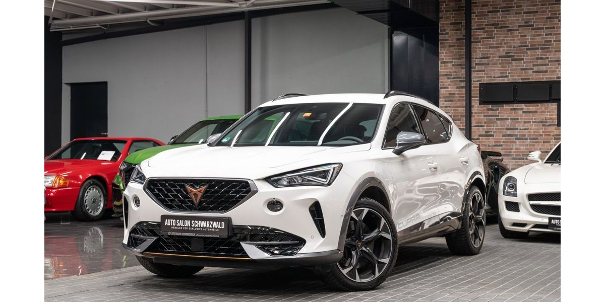 Cupra Formentor 57.958 km 28.490 &euro; Trossingen 78647