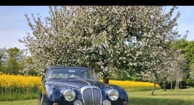 Jaguar Daimler