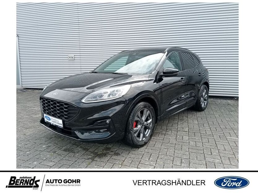 Kuga