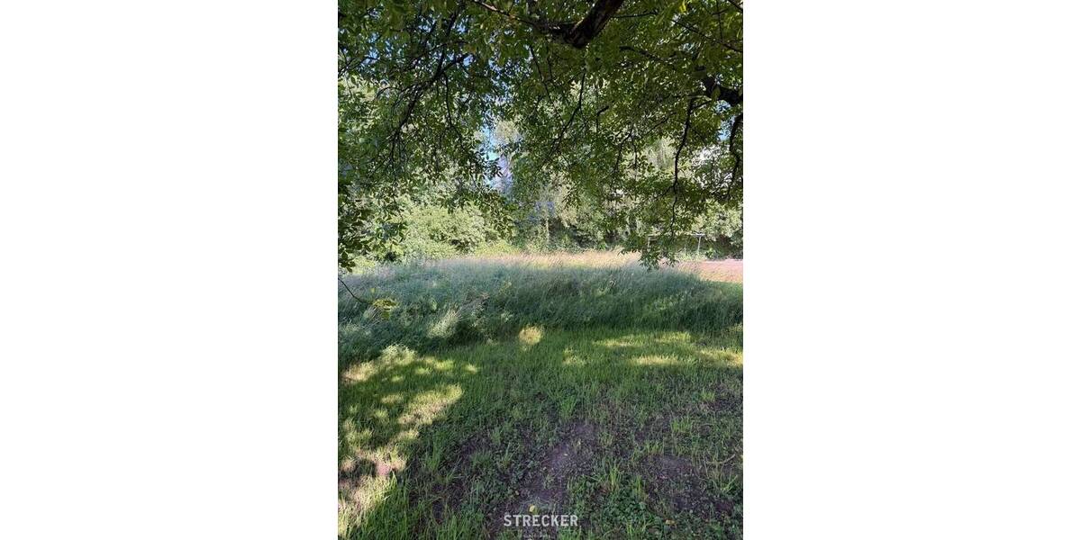Gewerbeobjekt Renchen Stadtgebiet - 2.900.000&euro; | Angebot:26686773