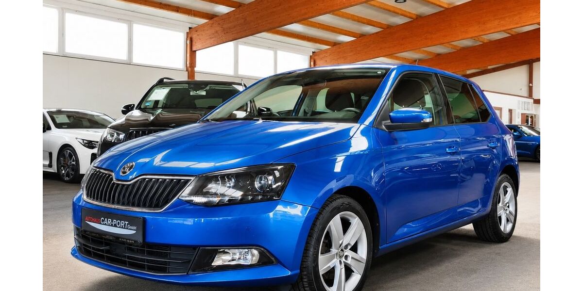 Skoda Fabia 140.000 km 10.490 &euro; Deißlingen 78652