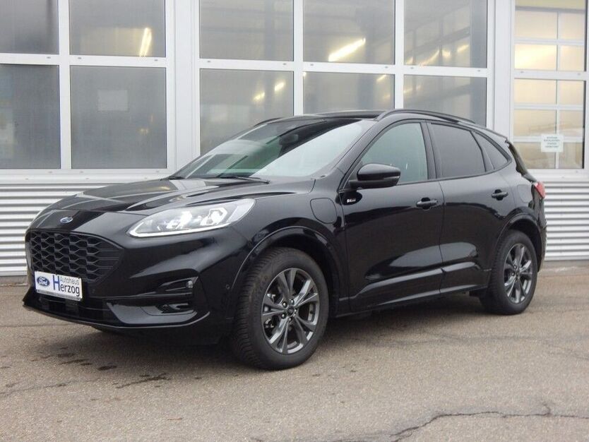 Kuga