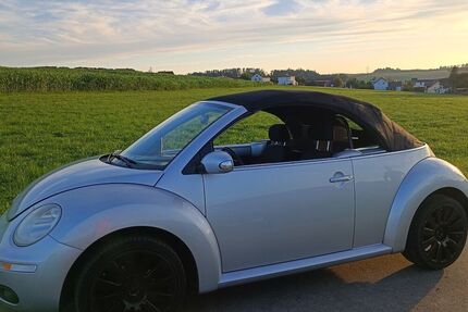 VW Beetle