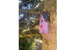 Bungalow Falkenstein Pansfelde - 3 Zimmer, 60 m&sup2;, 105.000&euro; | Angebot:26974207