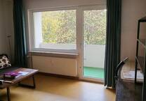 Helle, geräumige 1-Zimmer-Wohnung mit Balkon in ruhiger, naturnaher Lage mitten in der Neustadt
